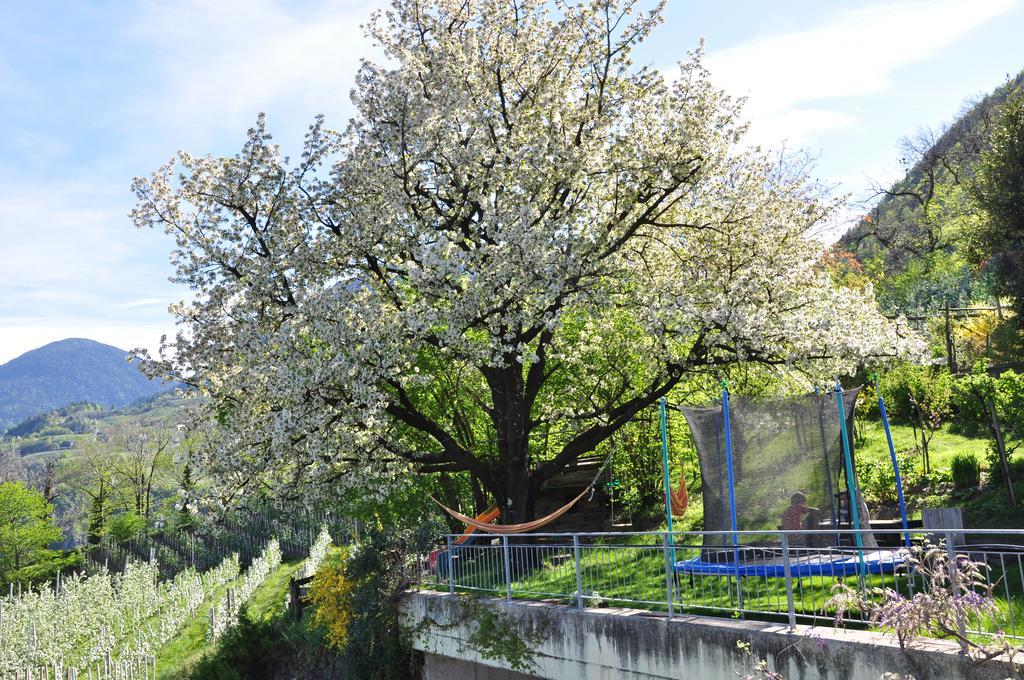 Appartamento Unterbrunnerhof Lana Esterno foto